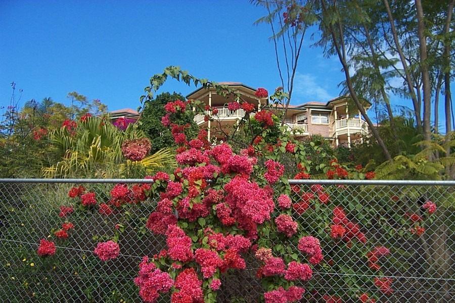Tranquil Garden Hideaway Διαμέρισμα Ormeau Εξωτερικό φωτογραφία